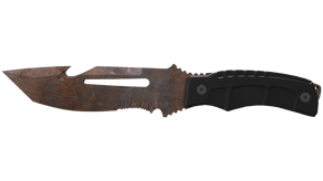 Rust Coat image