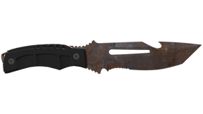 Rust Coat image