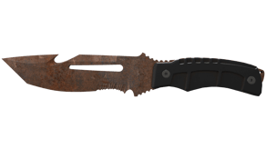 Rust Coat image