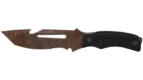 Rust Coat image
