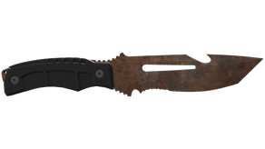 Rust Coat image