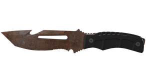 Rust Coat image