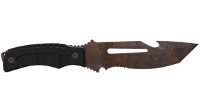 Rust Coat image