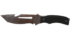 Rust Coat image