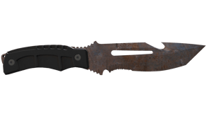 Rust Coat image
