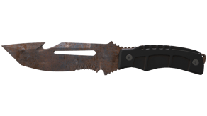 Rust Coat image