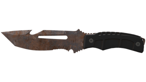 Rust Coat image