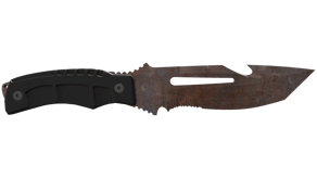 Rust Coat image
