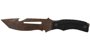 Rust Coat image