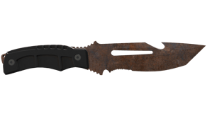 Rust Coat image