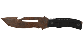 Rust Coat image