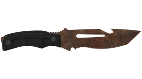Rust Coat image
