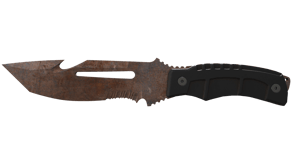 Rust Coat image