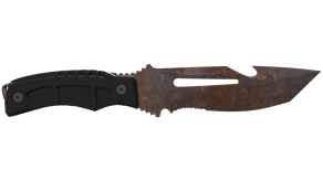 Rust Coat image