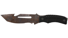 Rust Coat image