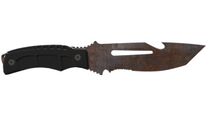 Rust Coat image