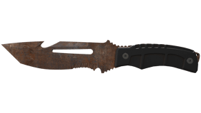 Rust Coat image