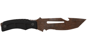 Rust Coat image