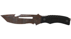 Rust Coat image