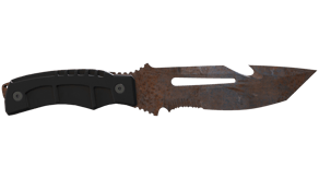 Rust Coat image