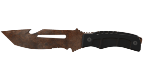 Rust Coat image