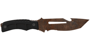 Rust Coat image