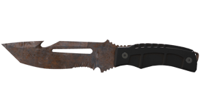 Rust Coat image