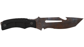 Rust Coat image