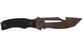 Rust Coat image
