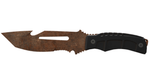 Rust Coat image
