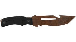 Rust Coat image