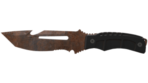 Rust Coat image