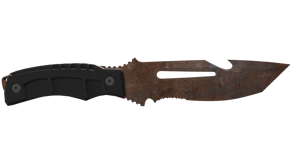 Rust Coat image