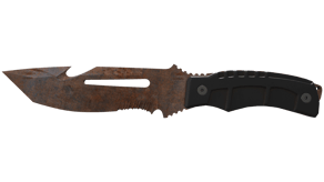 Rust Coat image