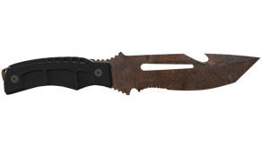 Rust Coat image