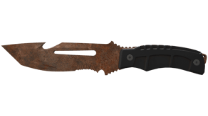 Rust Coat image