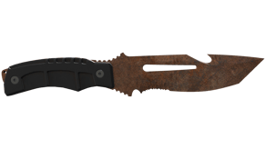Rust Coat image