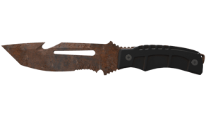 Rust Coat image