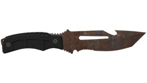 Rust Coat image