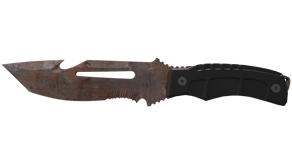 Rust Coat image