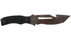 Rust Coat image