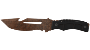 Rust Coat image