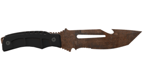 Rust Coat image