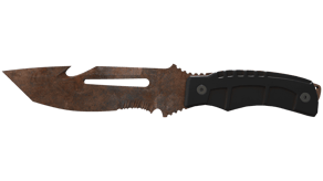 Rust Coat image