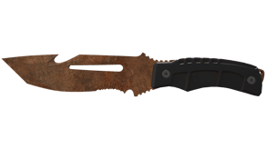 Rust Coat image