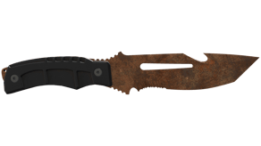 Rust Coat image