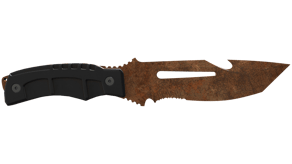 Rust Coat image