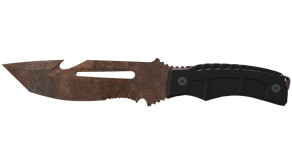 Rust Coat image