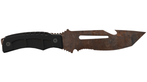 Rust Coat image