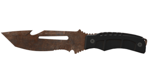Rust Coat image